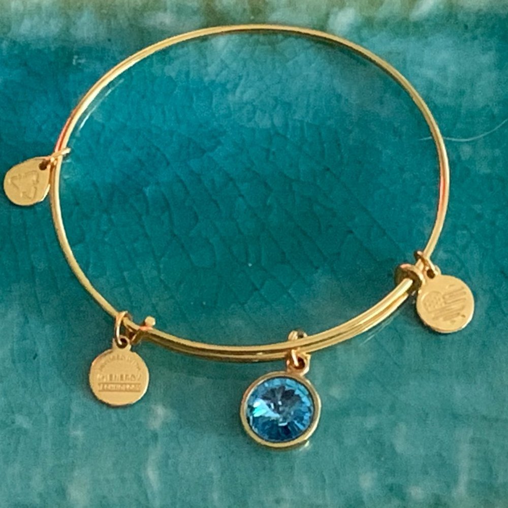 ALEX AND ANI CHARM BRACELET